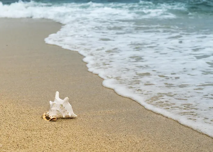 Maison Charme Proche Et Foret Avec Jardin, Wifi, Bbq, Et Pistes Cyclables A Proximite - Fr-1-652-39